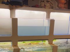 -质烤烤物·活烤海鲜(质烤总店)