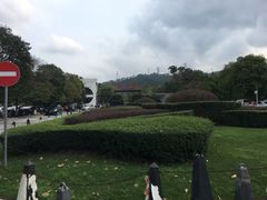 -中山市树木园