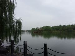 android_upload_pic-上海怡沁园度假酒店