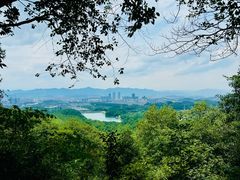 -大奇山国家森林公园