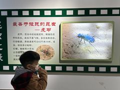 -上海昆虫博物馆