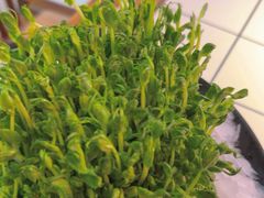 -热火朝天鲜切牛肉火锅(南强街巷店)