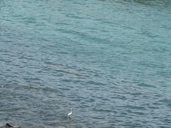 -观海轩餐厅(一线海景店)