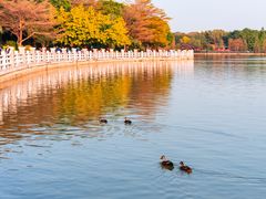 -海珠湖公园