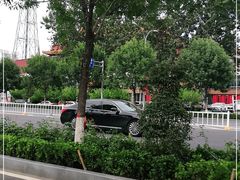 -胡杨记忆(和平路店)