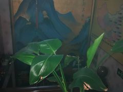 -若石足道SPA 连锁(丹东街店)