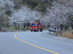 -四明山国家森林公园