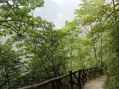 -鹿院坪生态旅游景区