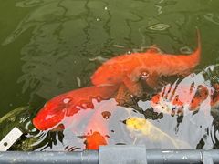 -漫笙舍Manse·咖啡·民宿