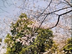 -堤角公园