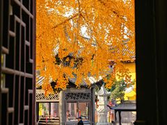 -上海青龙寺