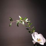成都免费看展｜观无界.止于至美