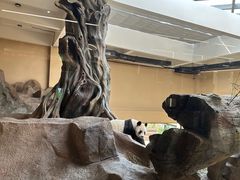 -宁波野生动物园