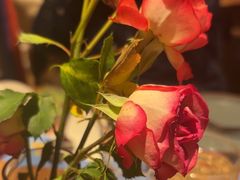 -半秋山西餐厅(巴南万达广场店)