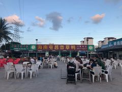 -盐禾堂海南屯昌香草鸭(总店)