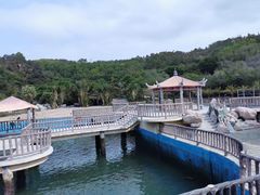 -广东惠东海龟国家级自然保护区