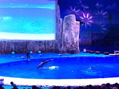 -华夏文旅海洋公园