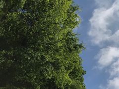 -山王坪喀斯特国家生态公园