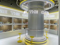 -糯米喵星人总部直营旗舰店·猫舍·幼猫出售