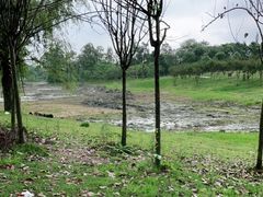 -两河城市森林公园