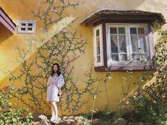 -黄色小屋
