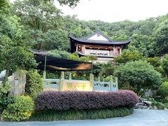 -十八棵（老龙井）御茶园(老龙井店)