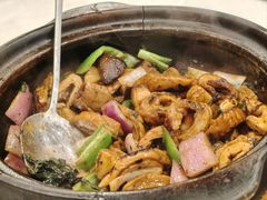 -大嫂镬仔·焖鸡煲·啫啫煲(逢源路店)