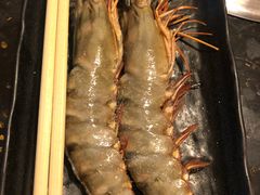 -熊出没日本烧肉放题