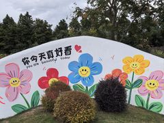 -荷兰花海