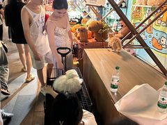 -龙湖成都上城天街