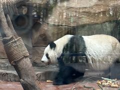 -成都动物园