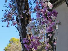 -深圳国际园林花卉博览园