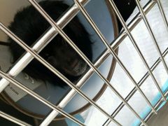-艾贝尔宠物医院·24H转诊中心·肿瘤猫专科(江宁双龙店)