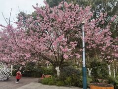 -南山植物园