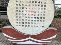 -板樟山森林公园
