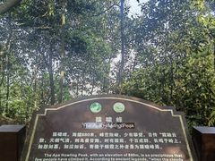 -缙云山景区