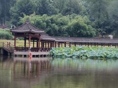 -龙头寺公园