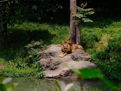 -宁波野生动物园