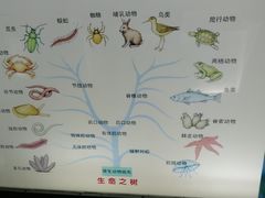 -上海昆虫博物馆