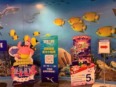 -暹罗海洋世界
