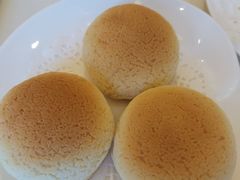 雪顶雄峰-利苑酒家(金宝店)