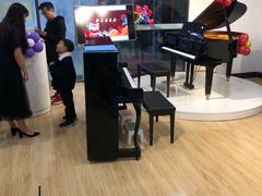 -珠江钢琴艺术中心(文一路店)