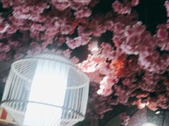 -九田家黑牛烤肉料理·自助(洪洞县城市花园店)