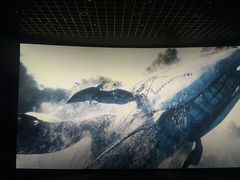 -万达影城(江北万达广场IMAX店)