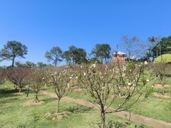 -广州莲花山旅游区
