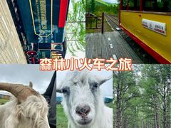 -莫尔道嘎国家森林公园