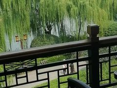 -鹊华居·地道鲁菜·海鲜·融合味(大明湖店)