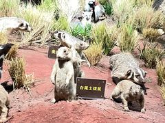 -陕西自然博物馆