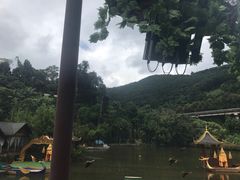 -西双版纳原始森林公园