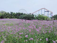 -雀儿山公园